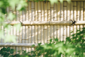 Combining wooden posts with wire or bamboo fencing and plants is a cost-effective